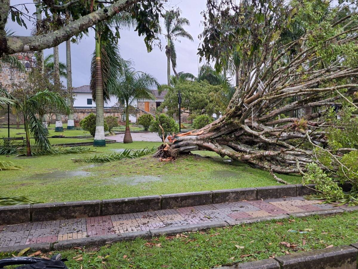 Tormenta eléctrica y vendaval dejó afectaciones en Guadalupe, Santander