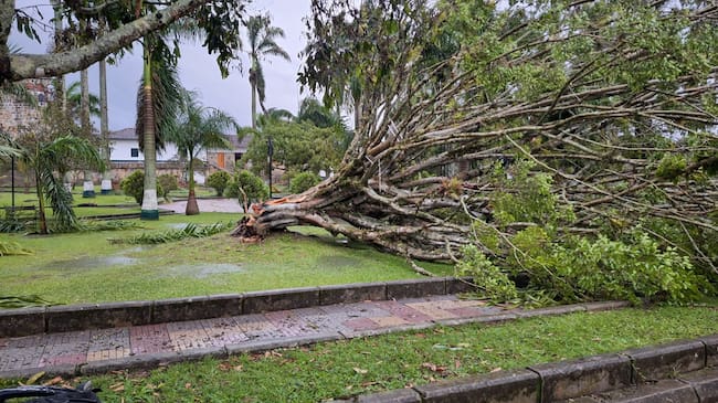 Tormenta eléctrica y vendaval dejo afectaciones en Guadalupe, Santander. Foto: Alcaldía de Guadalupe.