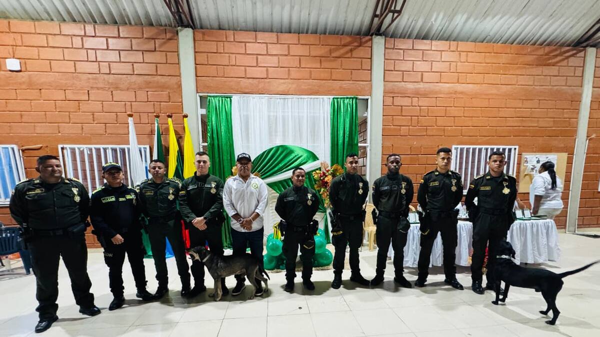 La noche en que dos perros se robaron el aniversario