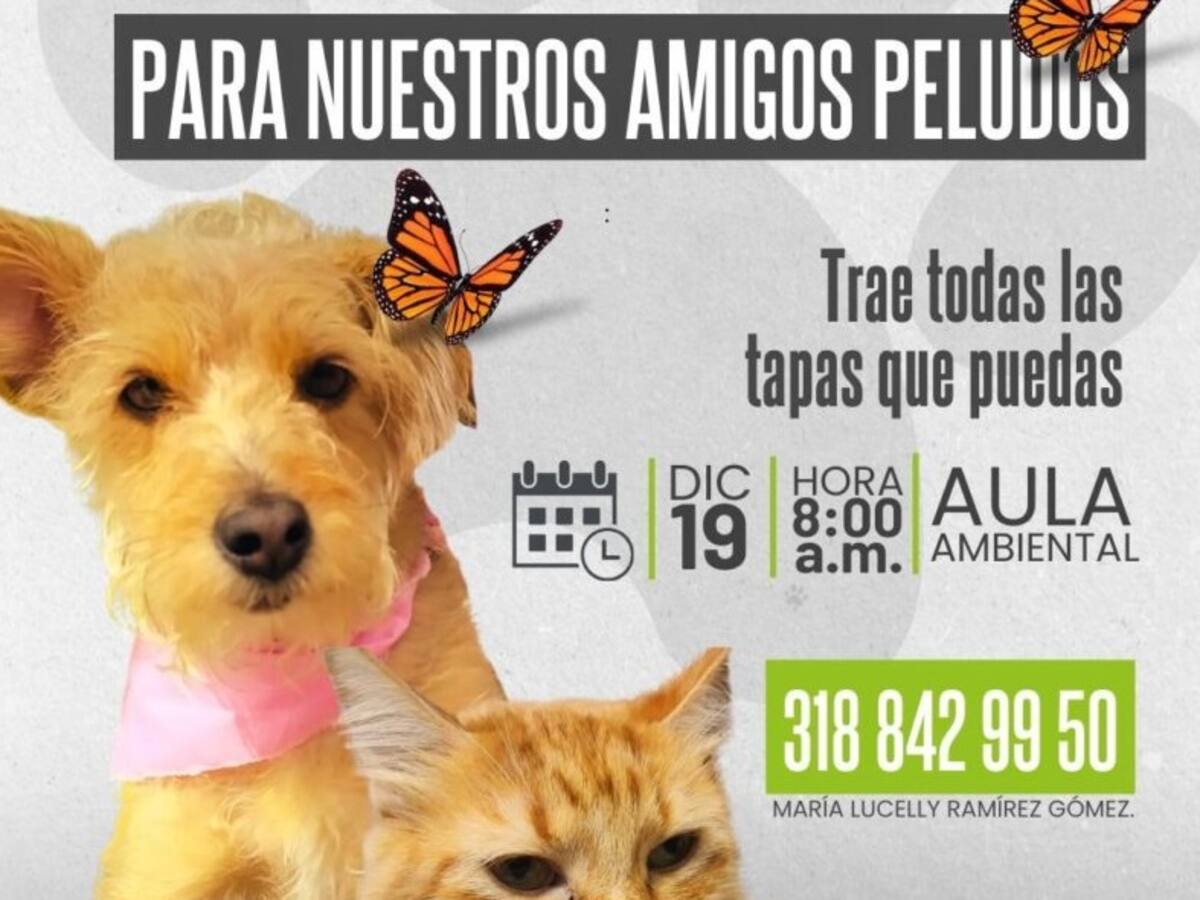 “Dona una tapa para nuestros amigos peludos”: campaña en pro de los animales en el Quindío