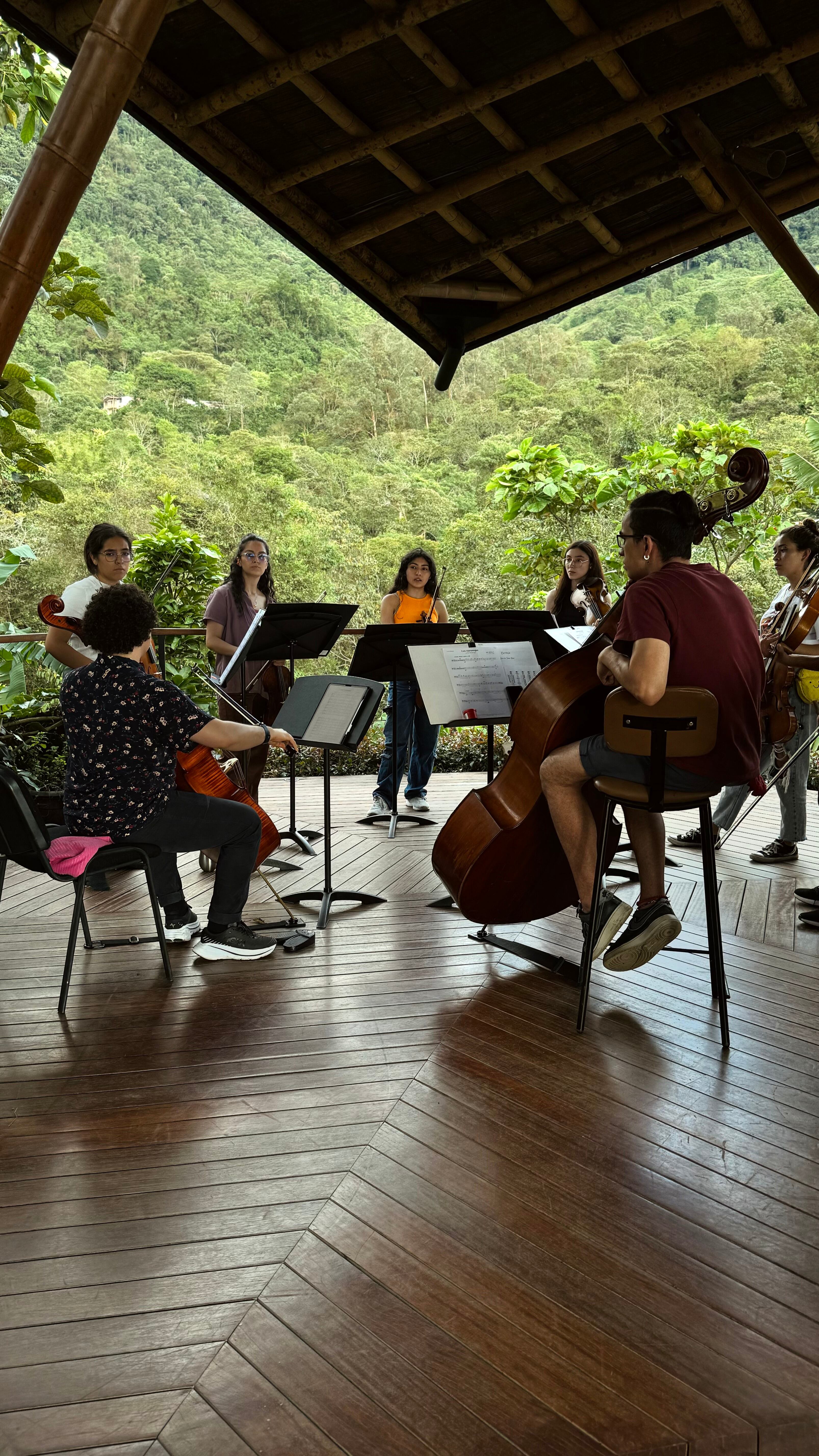 Cortesía Filarmónica Joven de Colombia.