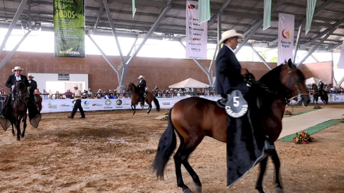 Agro y ganadería de Villavicencio y el Meta se engalanan para Expomalocas