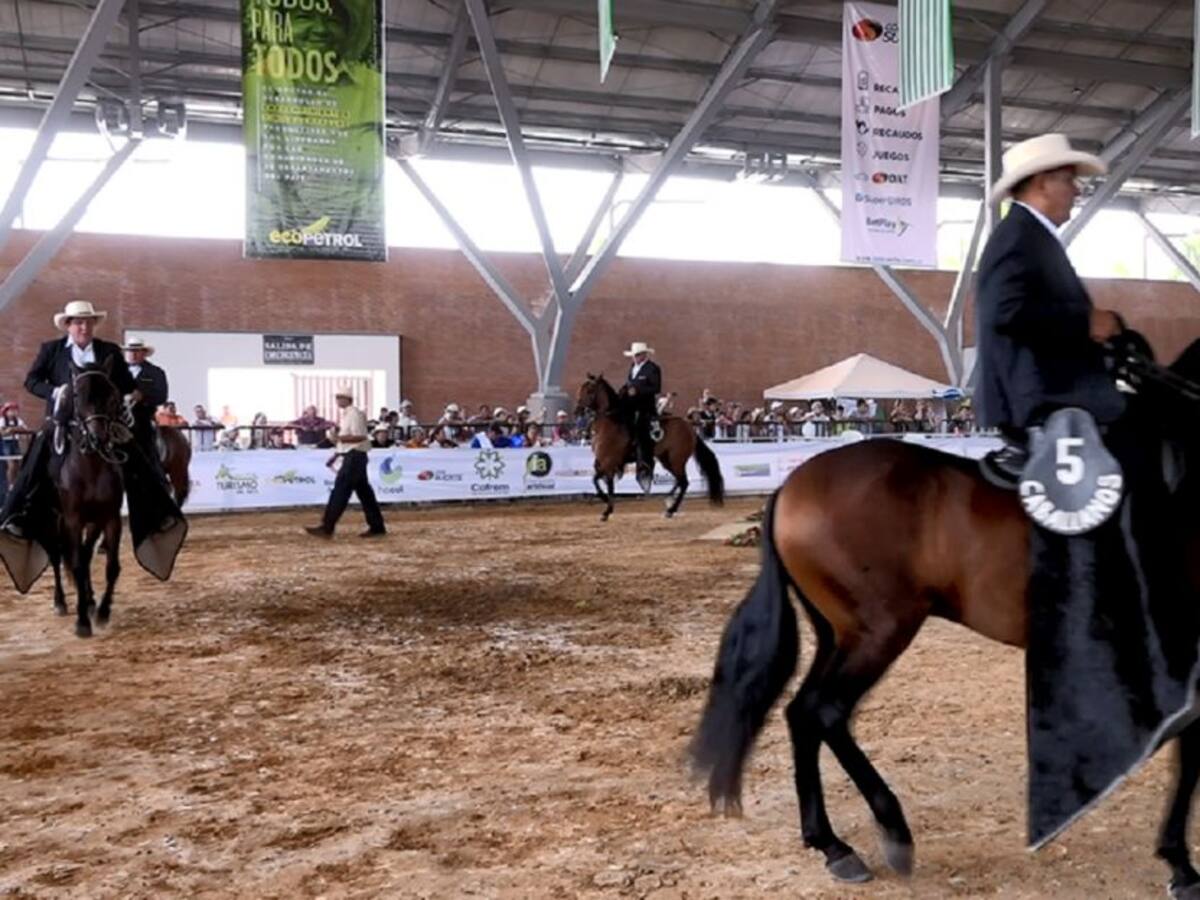 Agro y ganadería de Villavicencio y el Meta se engalanan para Expomalocas