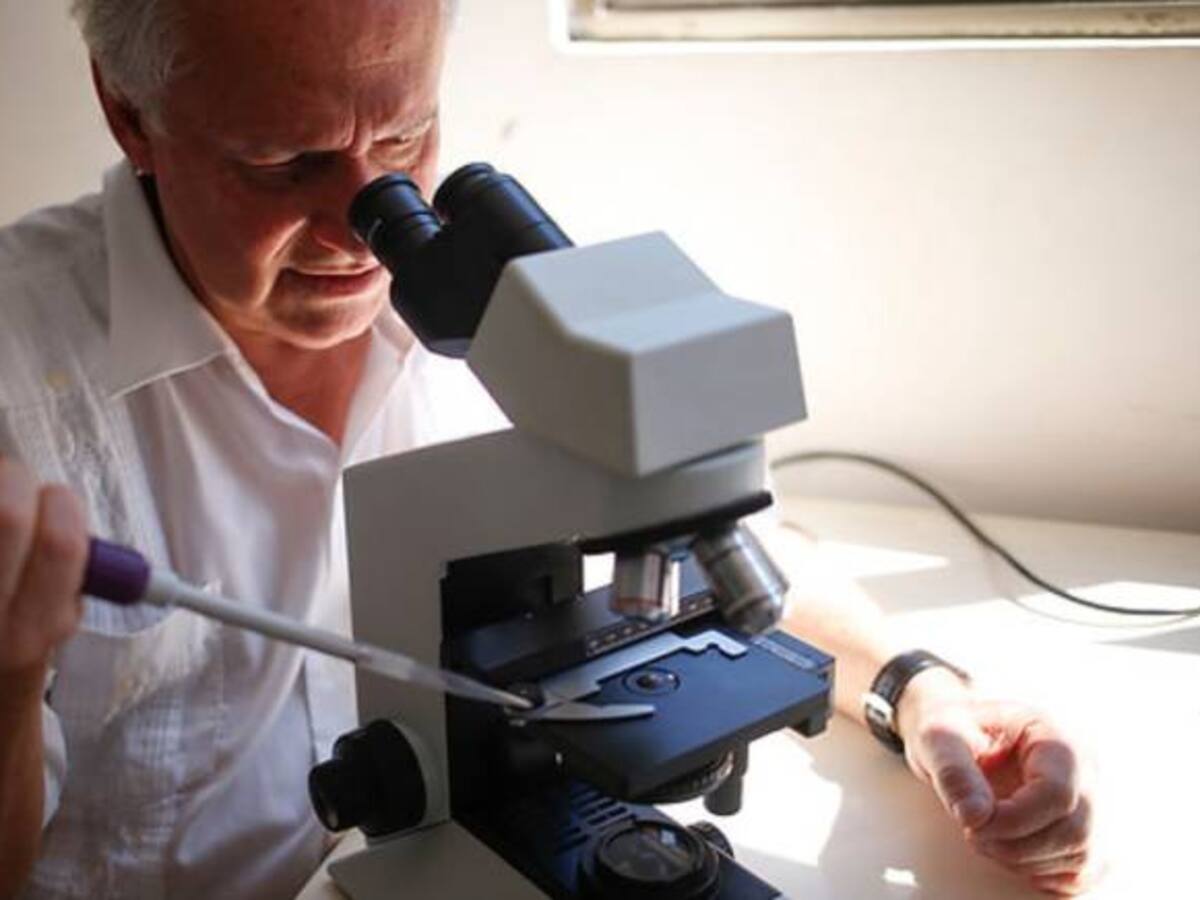 Hoy se celebra el Día Mundial contra la Malaria