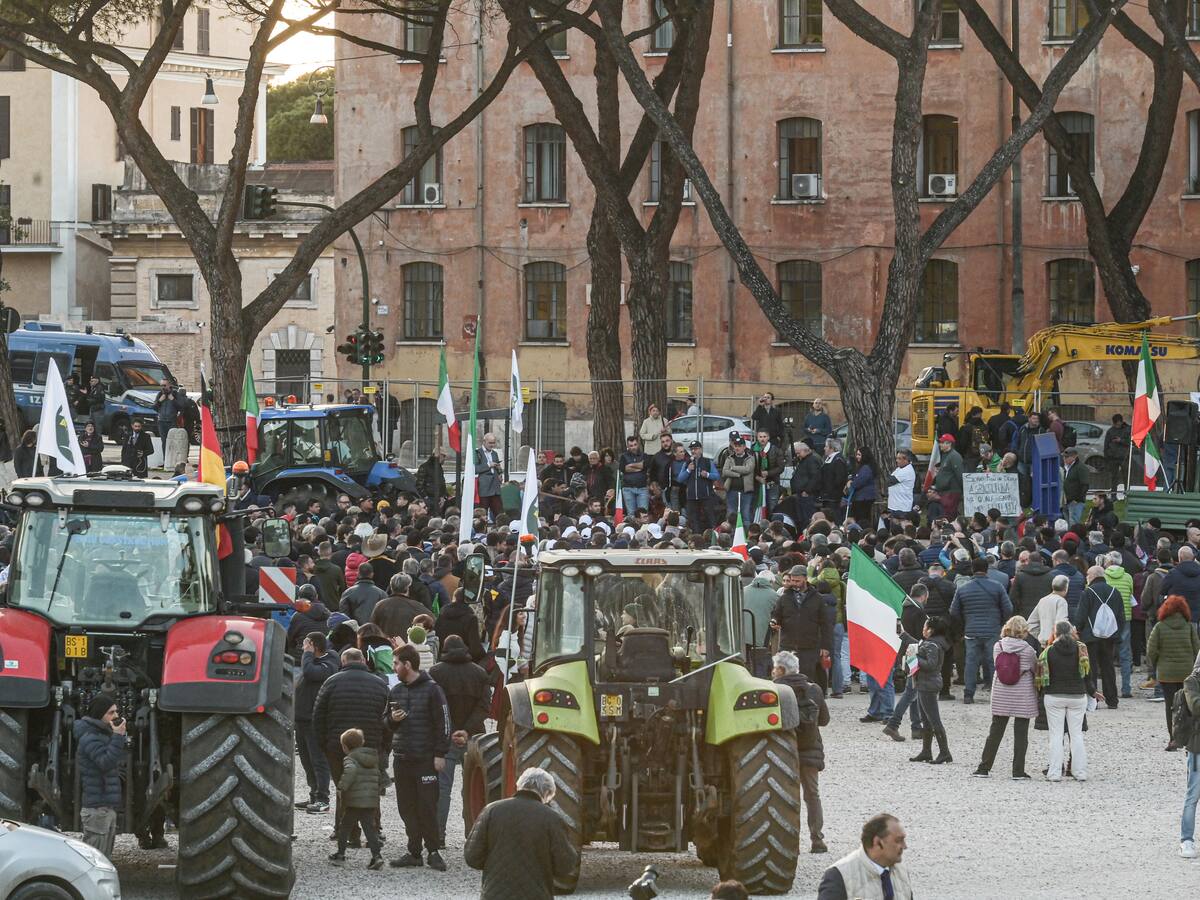 ¿Por qué el sector agrícola europeo lleva más de un mes protestando?