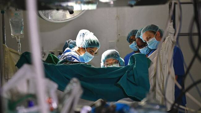 La OMS pide que el fin de las pruebas de virginidad