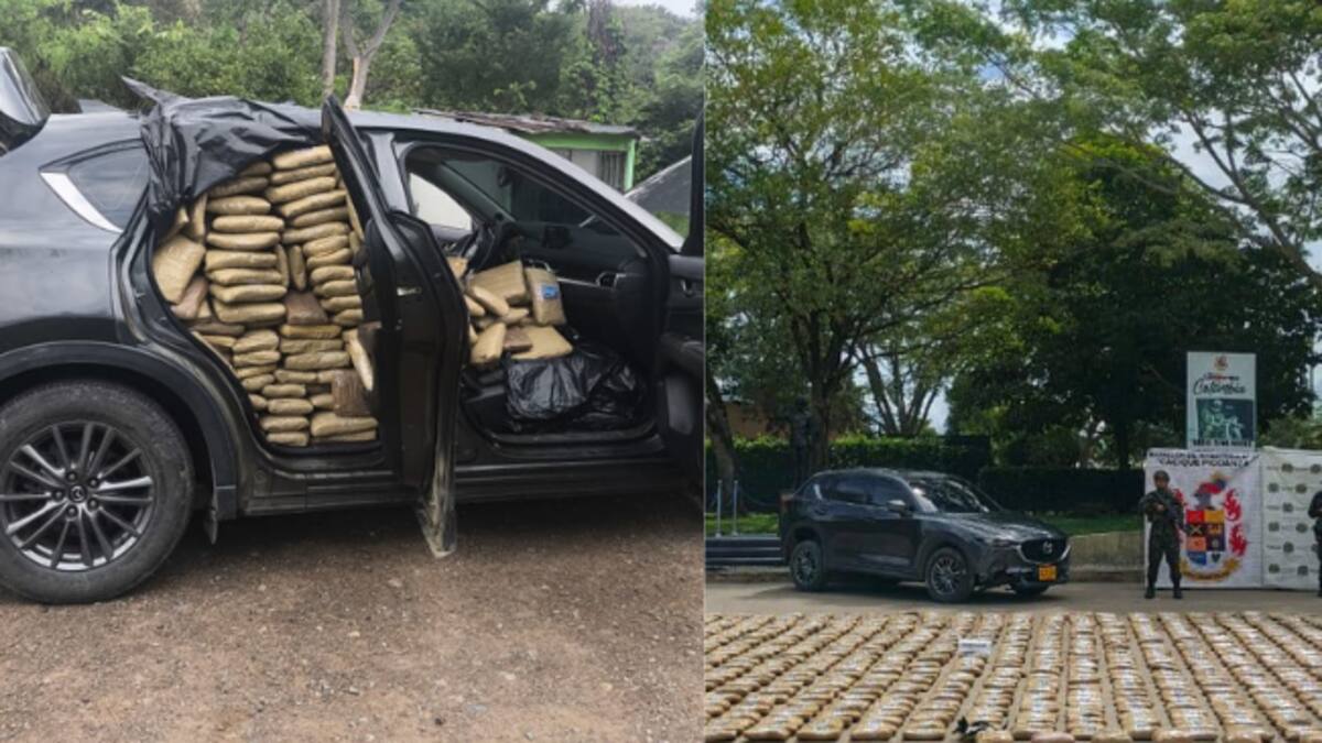 Ejército incauta más de media tonelada de marihuana ocultos en una camioneta en La Plata, Huila