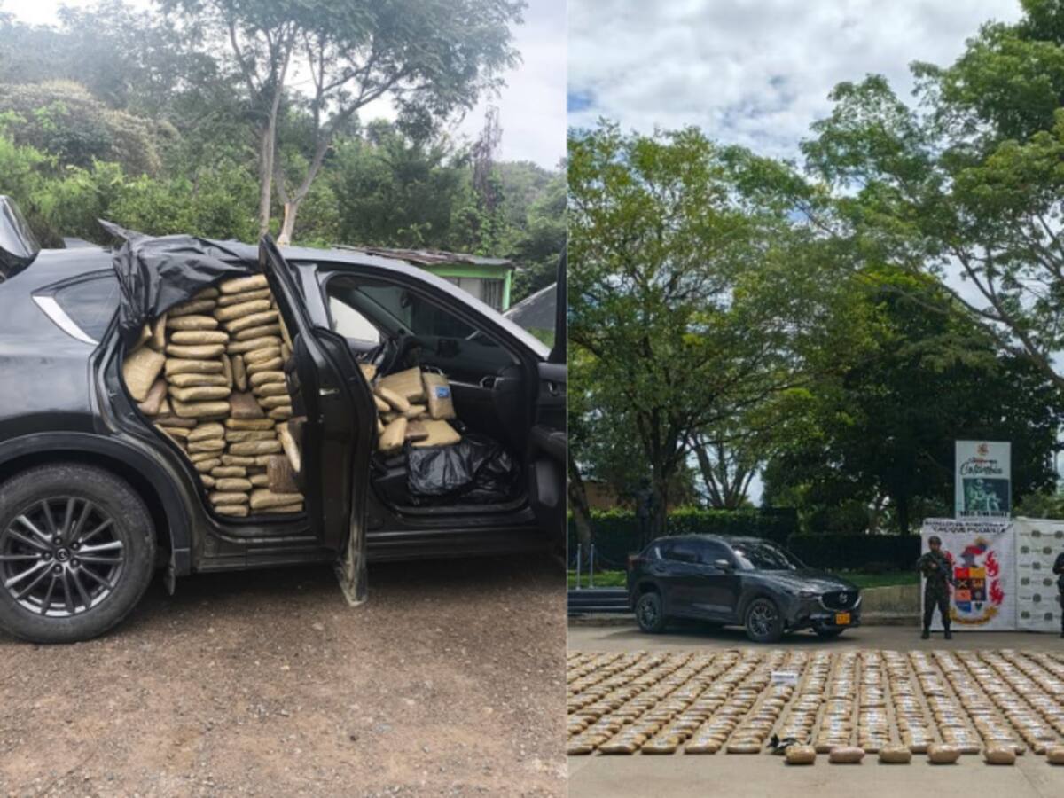 Ejército incauta más de media tonelada de marihuana ocultos en una camioneta en La Plata, Huila