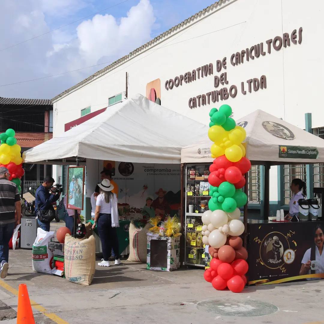 Día Nacional del Café / Foto: Cooperativa de Caficultores del Catatumbo