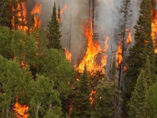 Incendio forestal mantiene en emergencia a Neiva