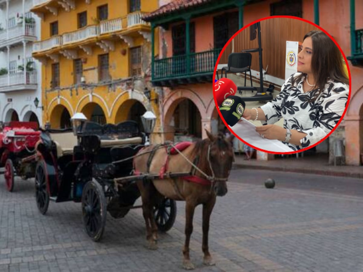 Corte Constitucional prohíbe uso de animales en vehículos de tracción con fines turísticos