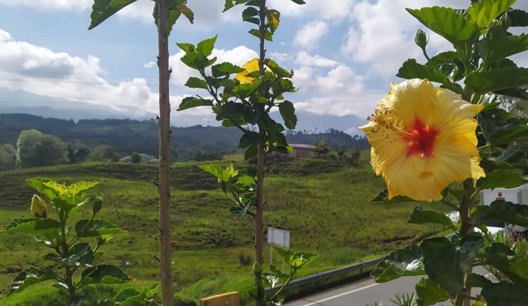 Vía Armenia -Pereira