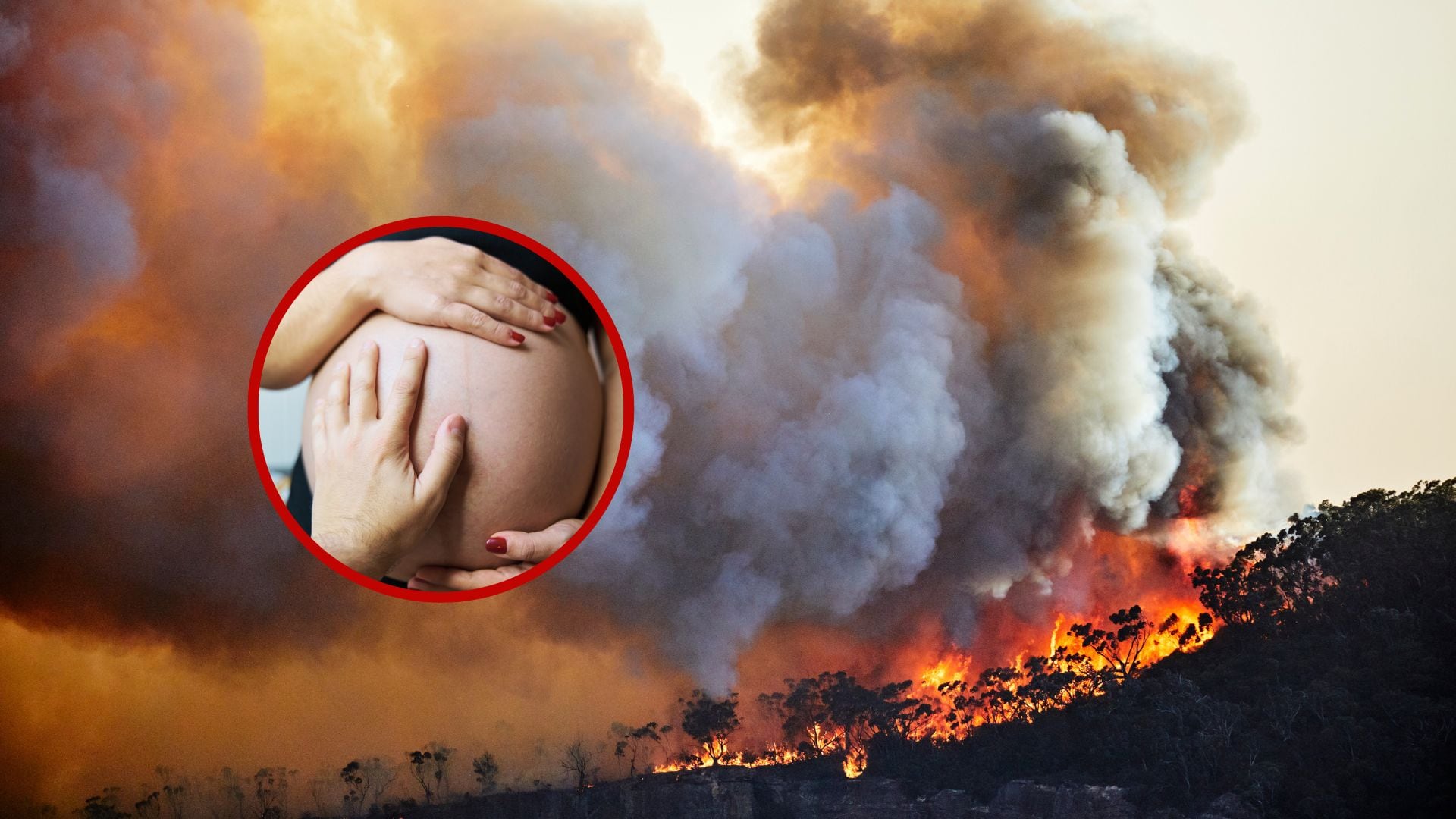 Calentamiento global y embarazo. Fotos: Getty Images.