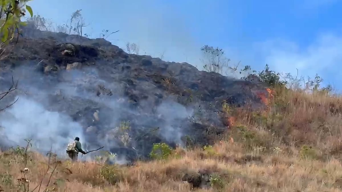 Emergencia en el Macizo Colombiano por un incendio forestal que completa 15 días fuera de control