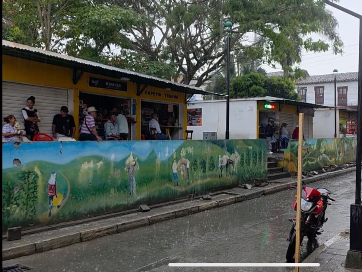 Vendaval afecta zona urbana y rural de Santa Bárbara: 25 familias damnificadas
