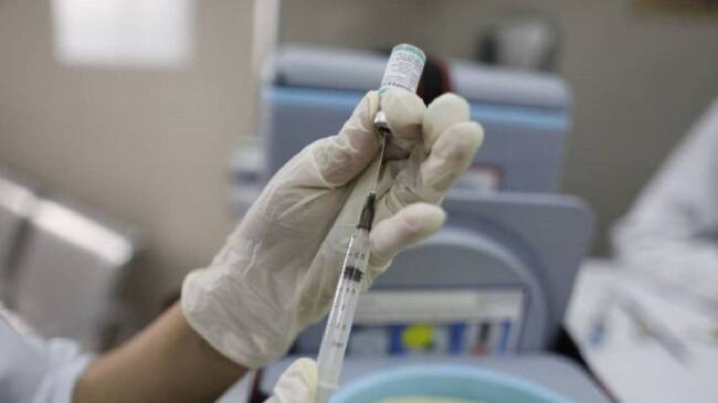 Imagen de referencia