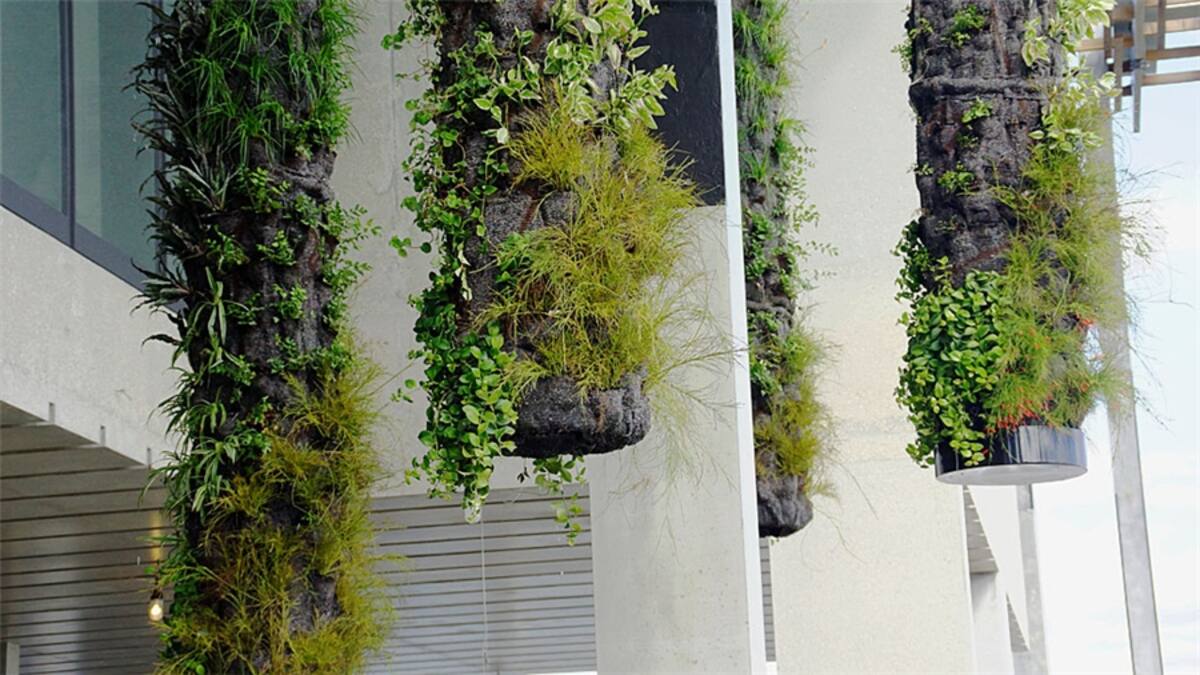 Como corresponde a una ciudad con una fuerte presencia latinoamericana, los carteles explicativos de las exhibiciones están escritos en inglés y español, cosa poco frecuente en grandes museos estadounidenses.