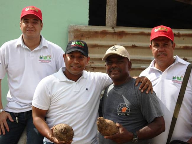 Alcaldía de Cartagena entrega de semillas de ñame a 50 familias campesinas