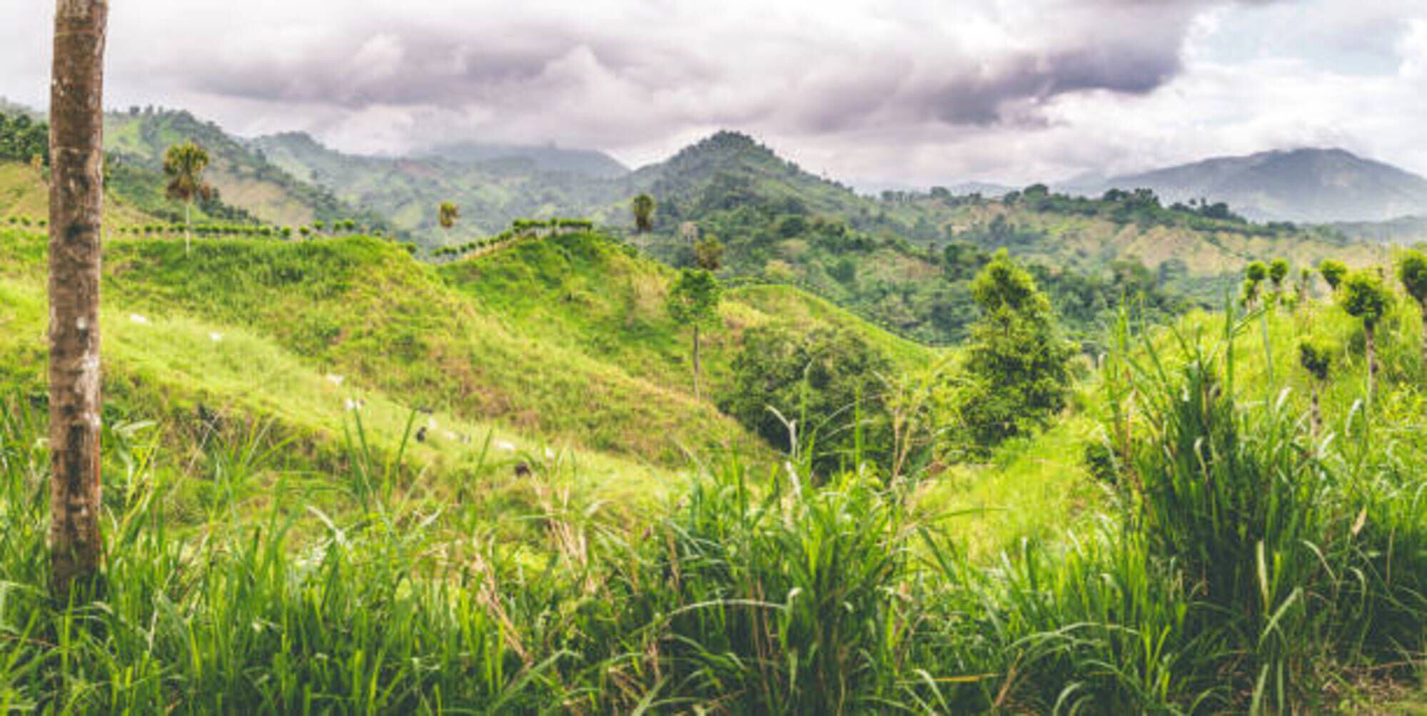 Sierra Nevada de Santa Marta/ Getty Images  