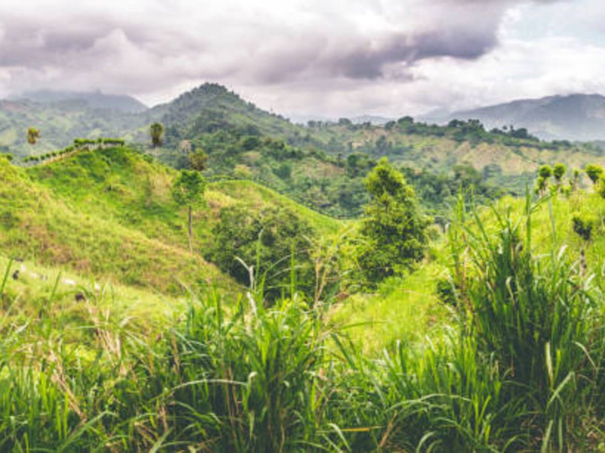 “Hay partidos que quieren regular la reserva natural de la Sierra Nevada”: Ati Quigua, lideresa indígena