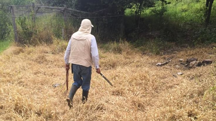 Hombre atacó con machete a un perro en Macaravita