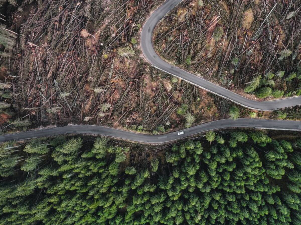 Proyectos de infraestructura y minería impiden reducir la deforestación