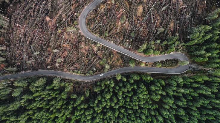 Proyectos de infraestructura y minería impiden reducir la deforestación