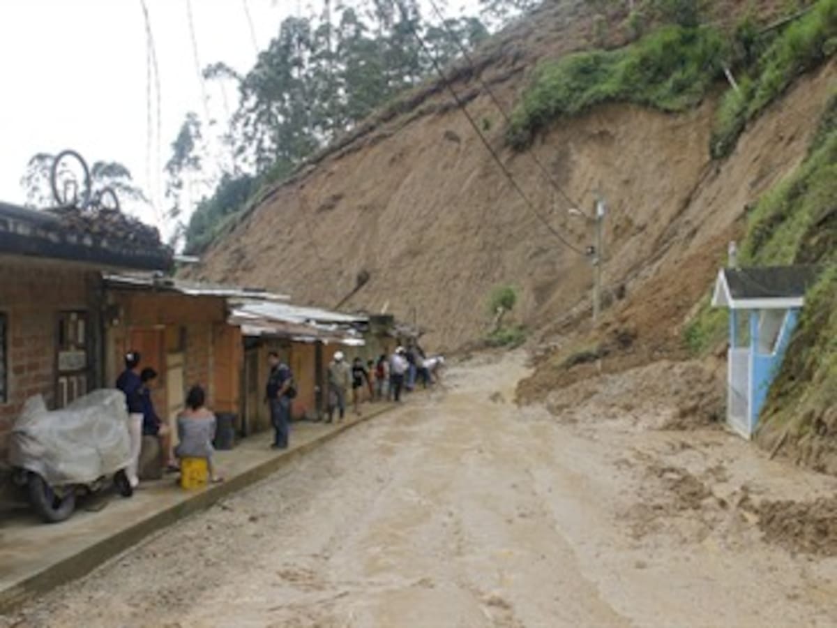 Tribunal superior de Antioquia emitió sentencia número 100 sobre restitución de tierras