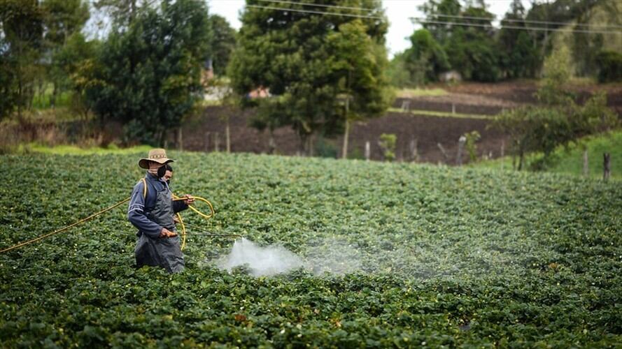 Imagen de referencia. Foto: Colprensa
