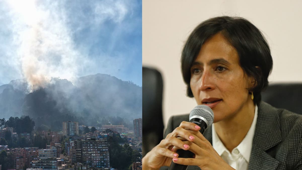 MinAmbiente mantiene la alerta por incendios: "Seguimos trabajando en reacción y recuperación del territorio"