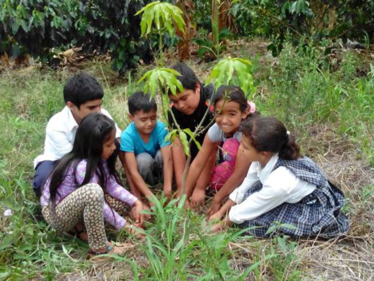 Las normas ecológicas son prioridad en Anserma