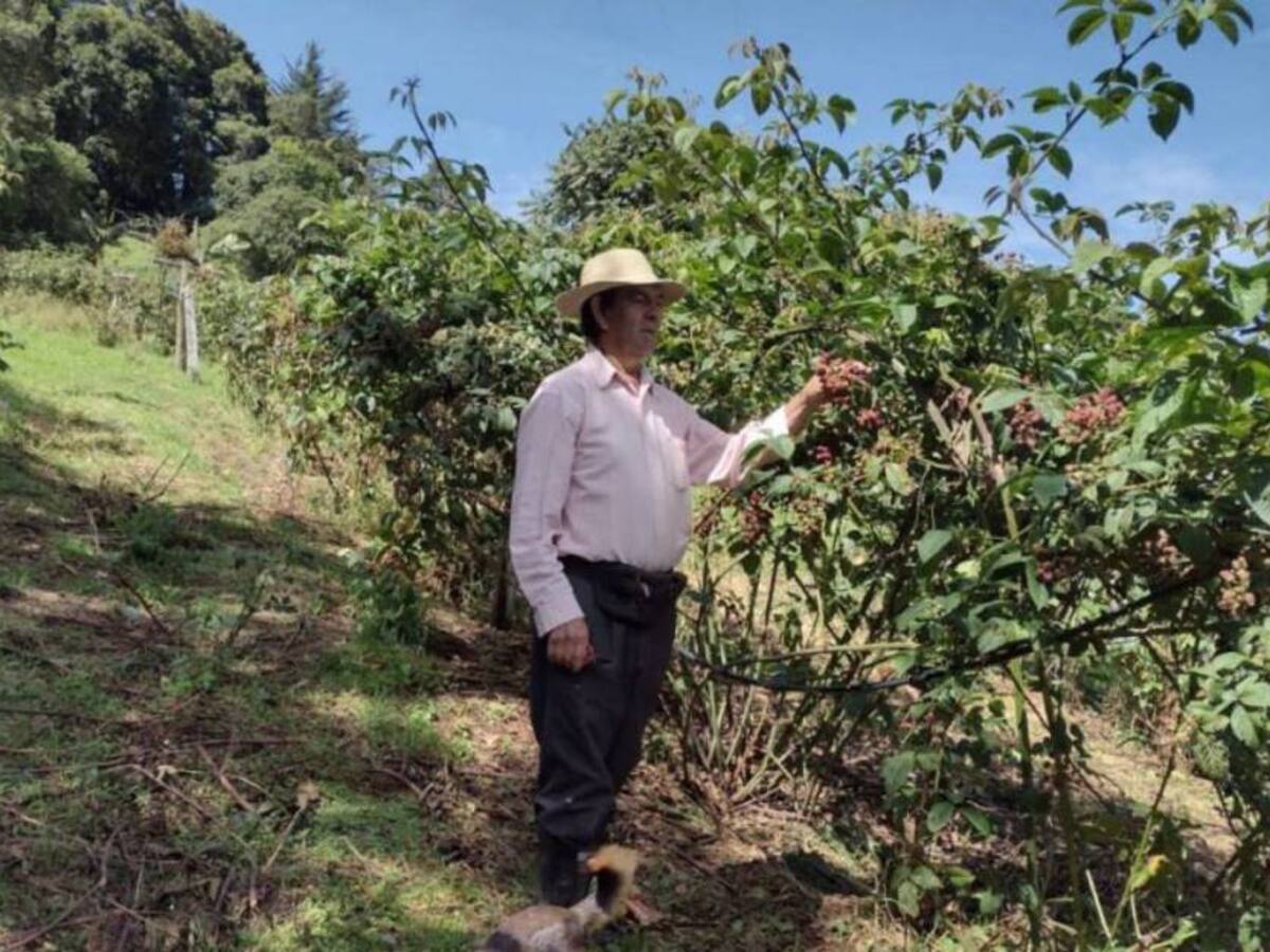 El Personaje de la Semana, peticiones de campesinos de Boyacá a Petro y Hernández