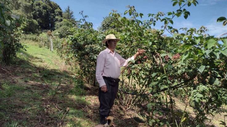 El Personaje de la Semana, peticiones de campesinos de Boyacá a Petro y Hernández