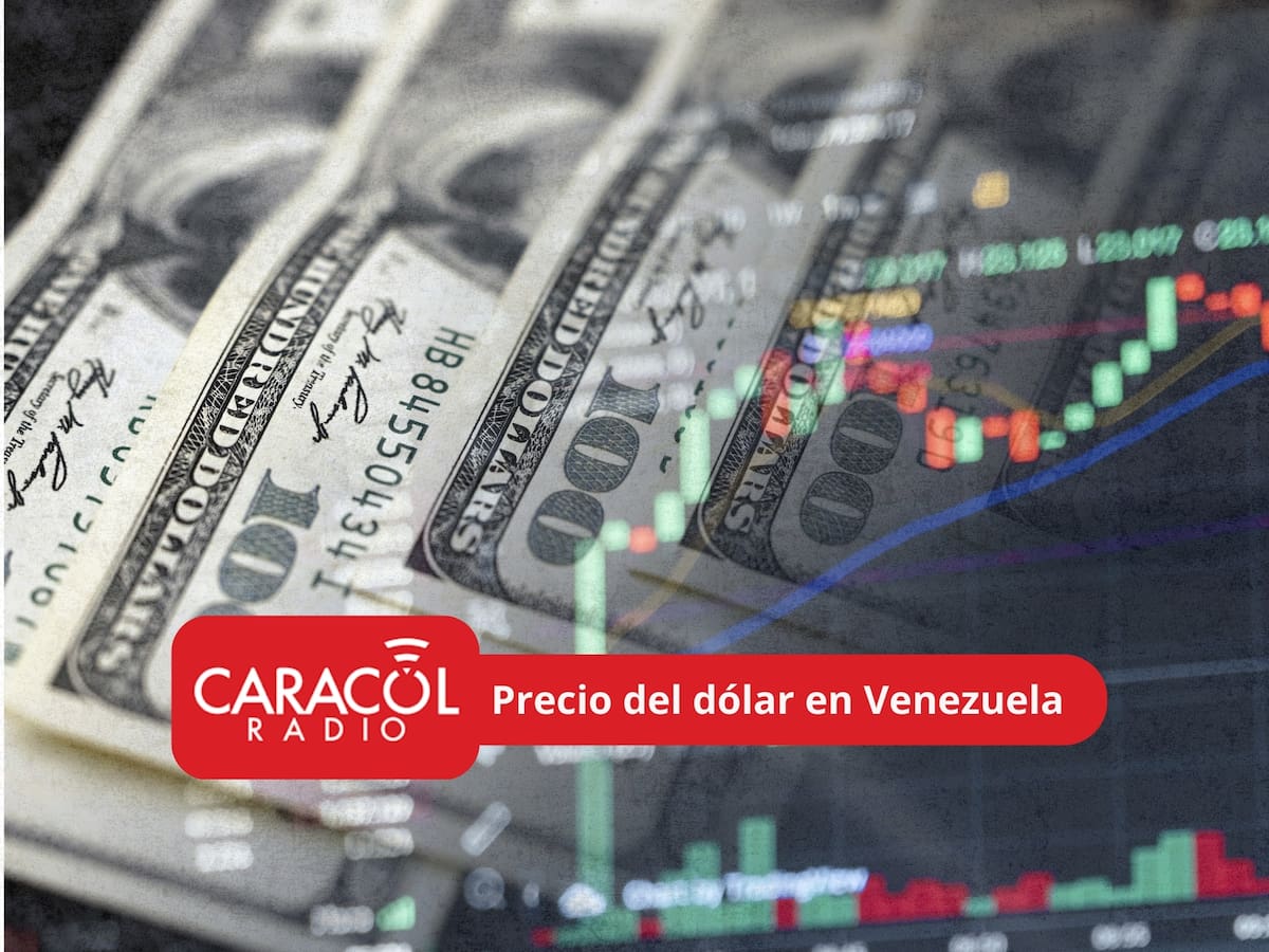 Así se cotiza el dólar en Venezuela para el 18 de febrero de 2026: Se mantienen los precios