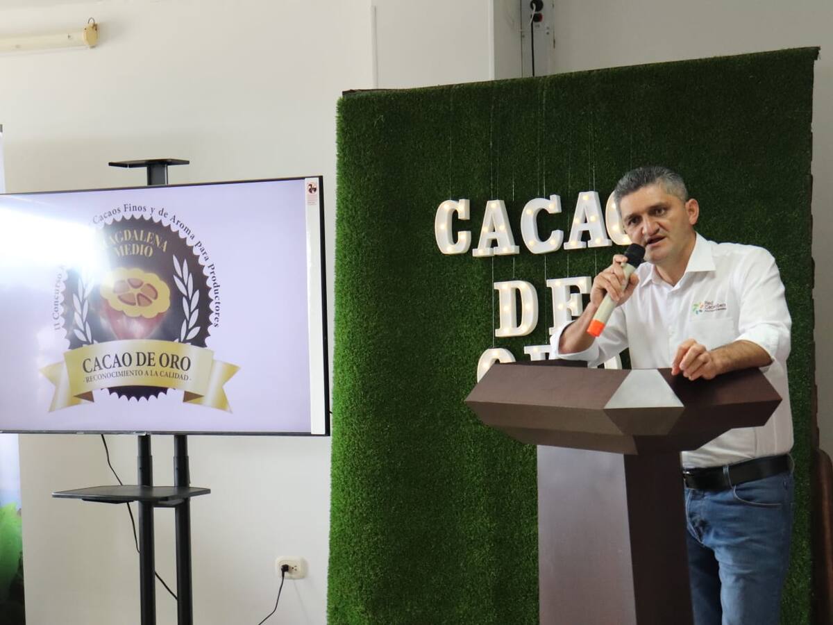 El mejor cacao de Colombia será escogido esta semana en Neiva