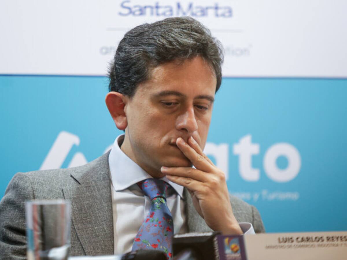 La verdadera razón de la salida del ministro Luis Carlos Reyes