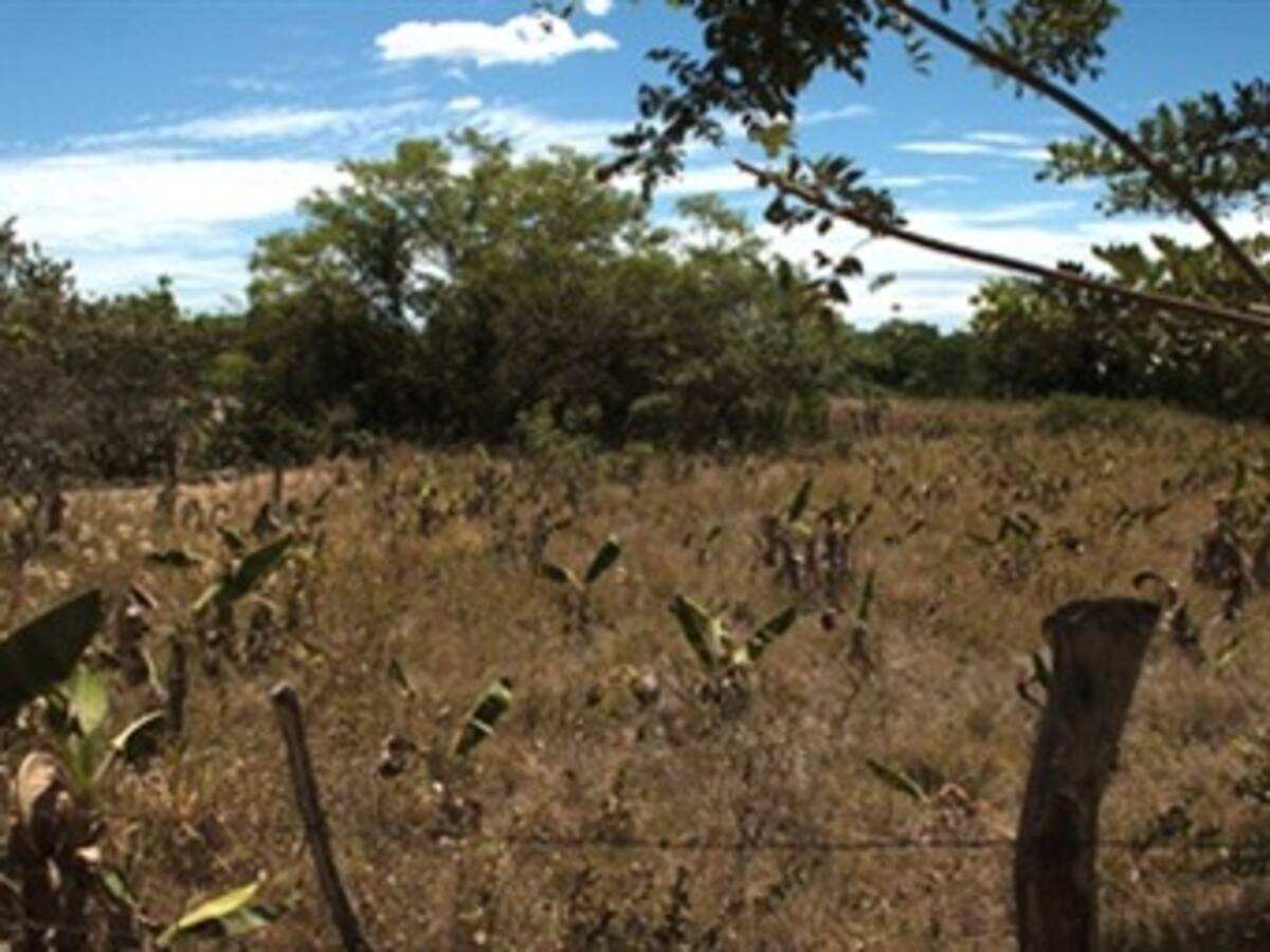 Fuerte sequía obliga racionamiento de agua en Honda, Tolima