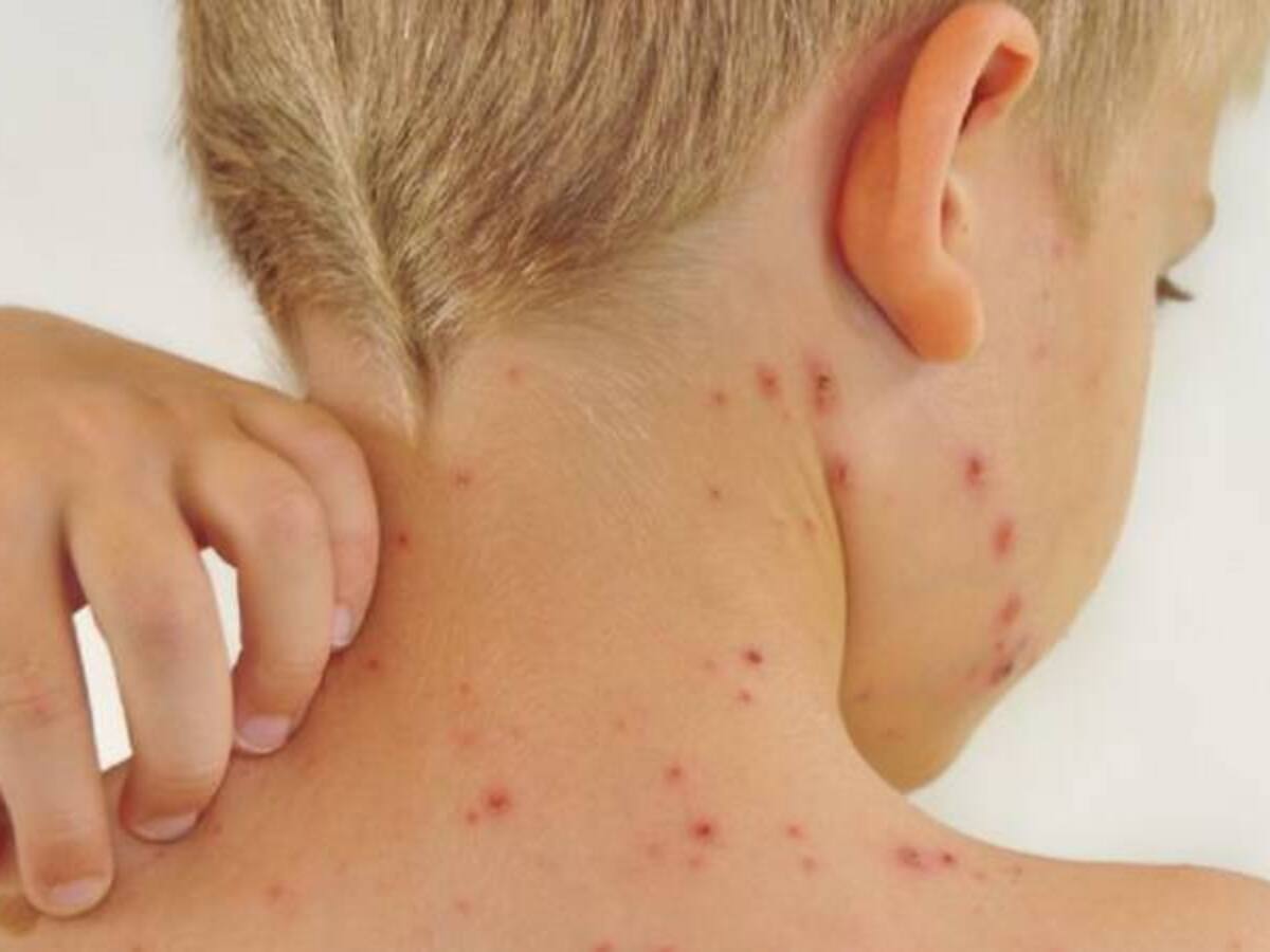 Audio jueves 07 de enero de 2016