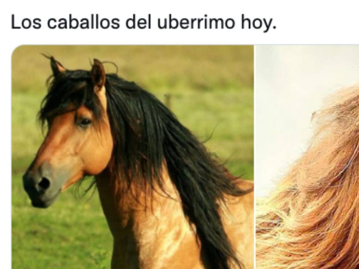 Epa Colombia y Álvaro Uribe: los mejores memes de este encuentro