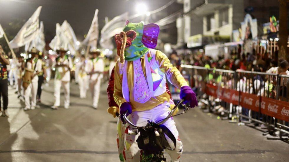 ARCHIVO/ Marimondas durante desfile de Guacherna