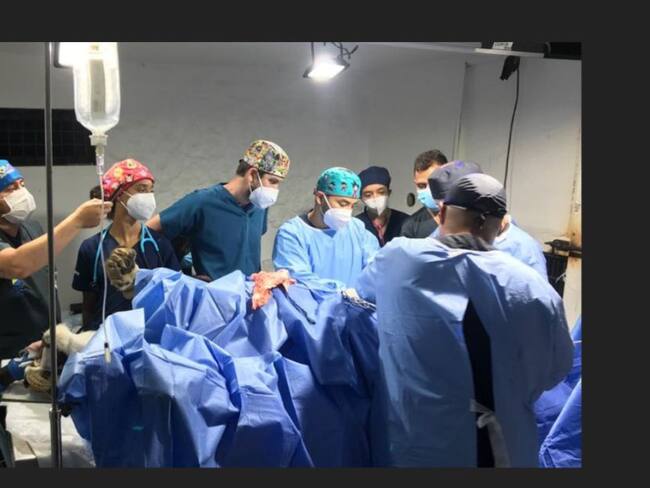 El felino permanece con pronóstico reservado