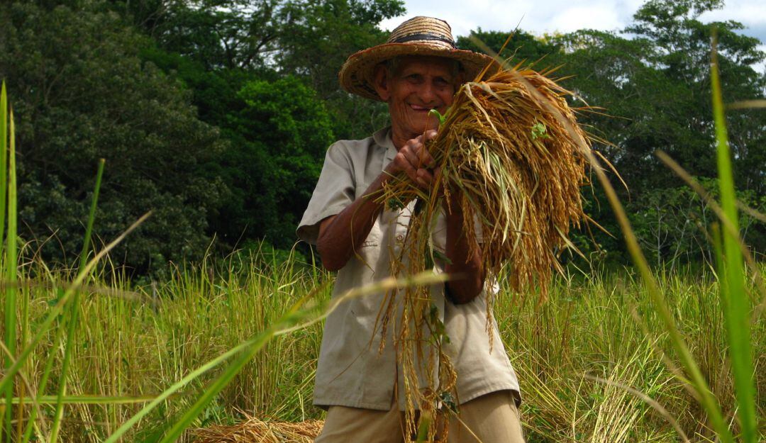 Las lluvias, mal estado de las vías, alto costo de los insumos los lleva a la quiebra.