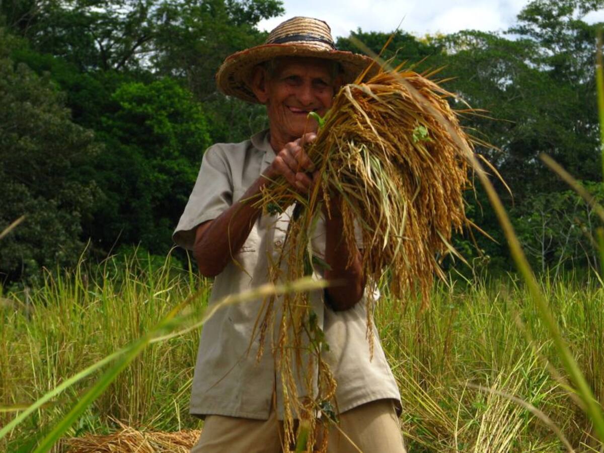 Crítica situación de campesinos en el Huila