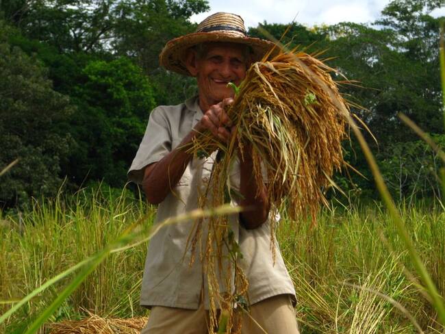 Las lluvias, mal estado de las vías, alto costo de los insumos los lleva a la quiebra.