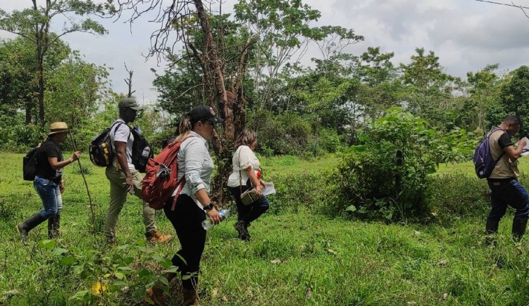 Unidad de Restitución de Tierras