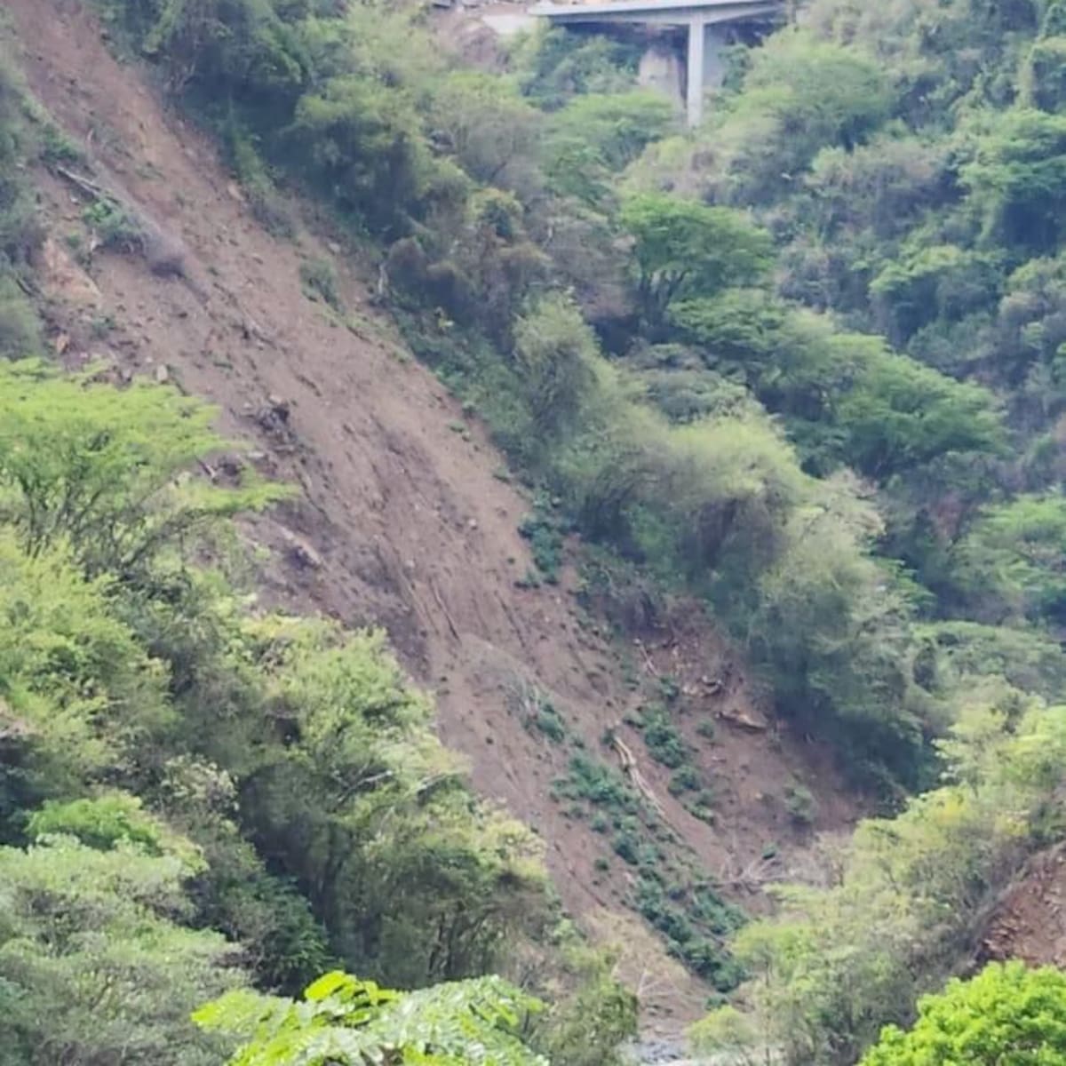 Gigantesco derrumbe en obra doble calzada en Sinifaná, jurisdicción de Titiribí