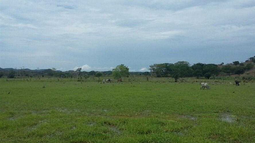 Meta de acuerdos de paz sobre tierras podría cumplirse en mitad del tiempo estipulado. Foto: Colprensa