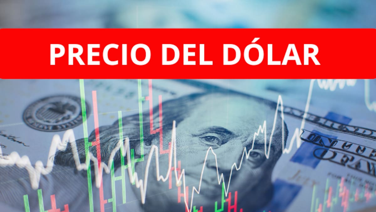 Precio del dólar HOY miércoles 28 de agosto; así arrancó la divisa en Colombia