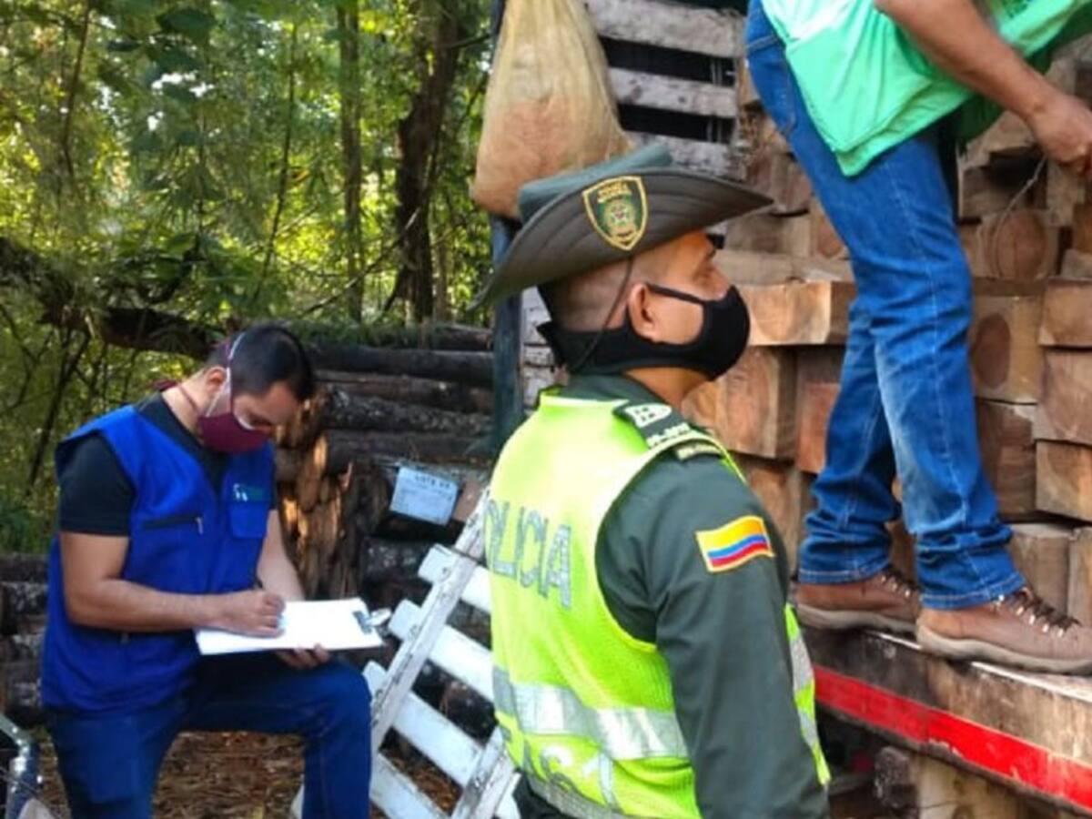 Golpe a la tala ilegal de madera en Bucaramanga