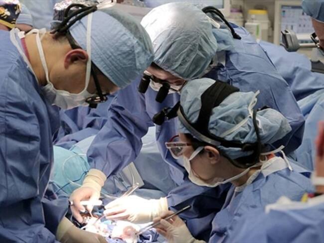 ELN estaría dispuesto a negociar con el Gobierno y más secretos de D’arcy